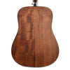 Ibanez AW54OPN Acoustic Guitar PAK Open Pore Natural Acoustic Guitars / Dreadnought