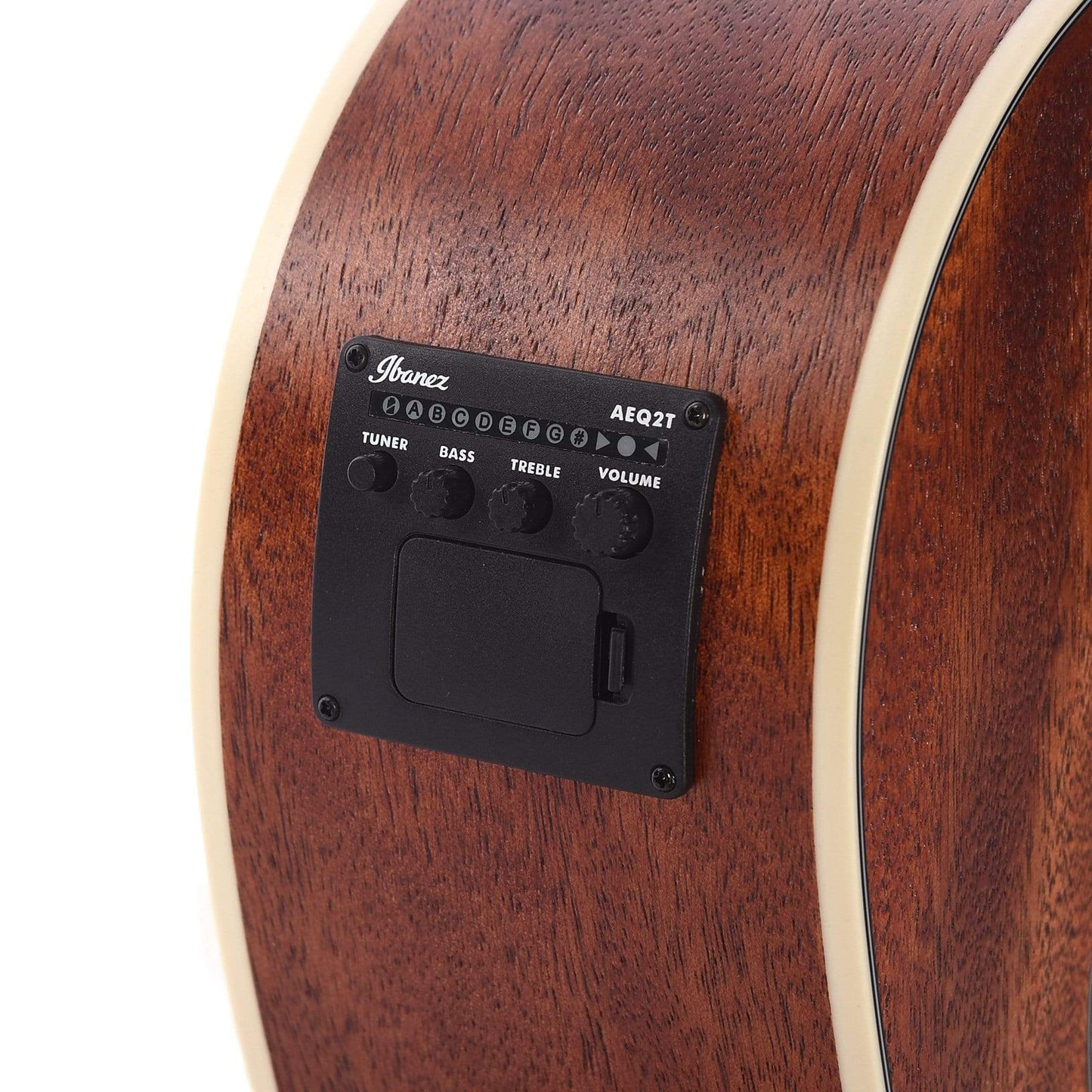 Ibanez PNB14E Parlor Acoustic Bass Open Pore Natural Bass Guitars / Acoustic Bass Guitars