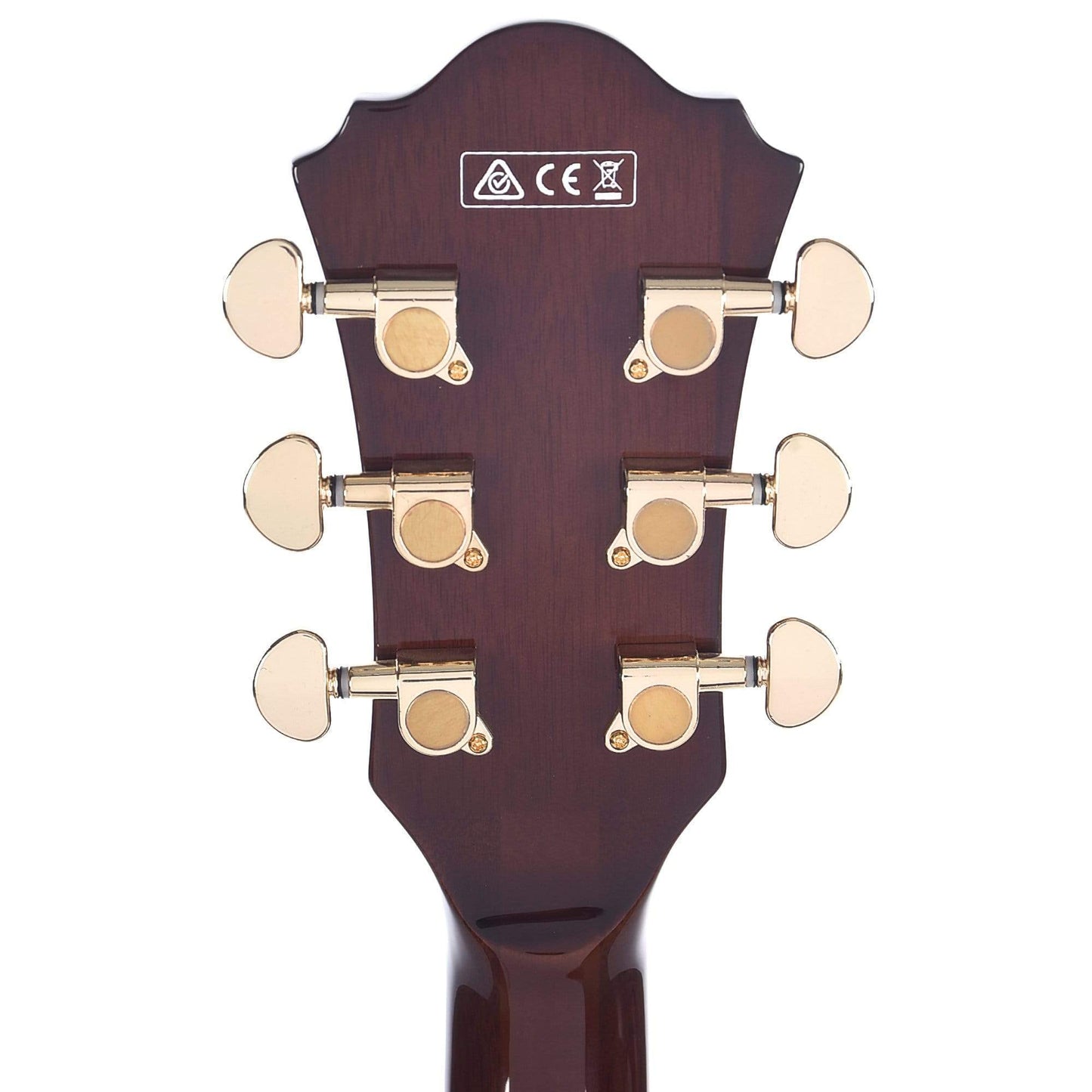 Ibanez AM93ME Artcore Expressionist Macassar Ebony Semi-Hollow Body Electric Guitars / Semi-Hollow