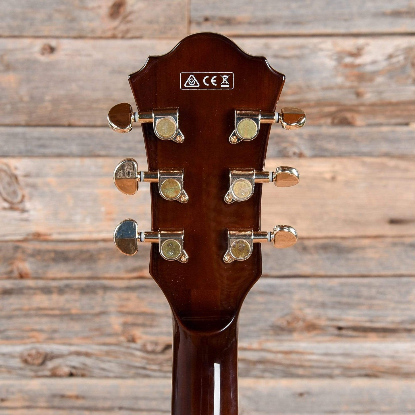 Ibanez AM93ME Artcore Expressionist Macassar Ebony Semi-Hollow Body Electric Guitars / Semi-Hollow