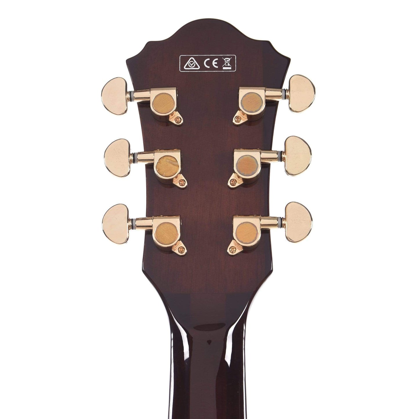 Ibanez AS93ZW Artcore Expressionist Zebra Wood Semi-Hollow Body Electric Guitars / Semi-Hollow