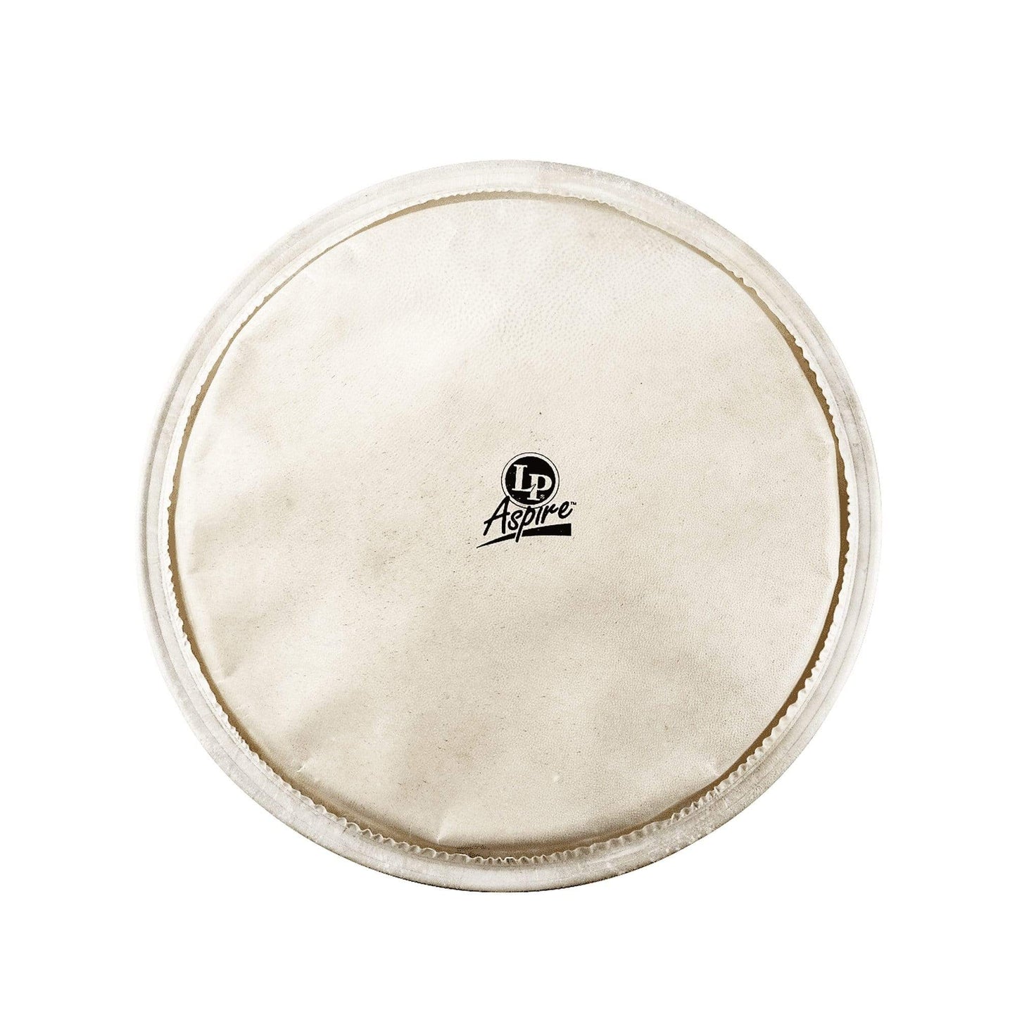 LP 12.5" Aspire Djembe Head Drums and Percussion / Parts and Accessories / Heads