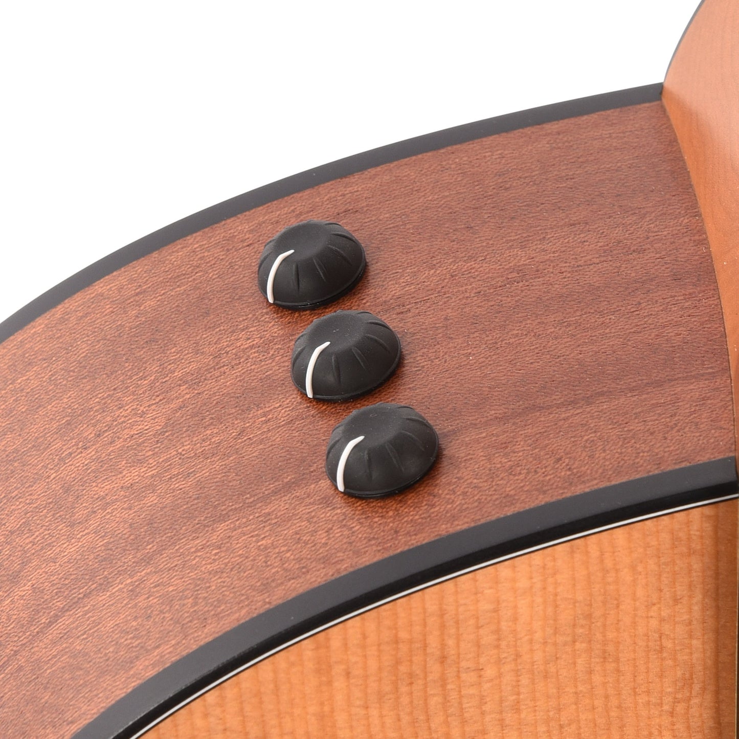 Taylor 117e Grand Pacific Torrefied Sitka/Sapele Natural ES2