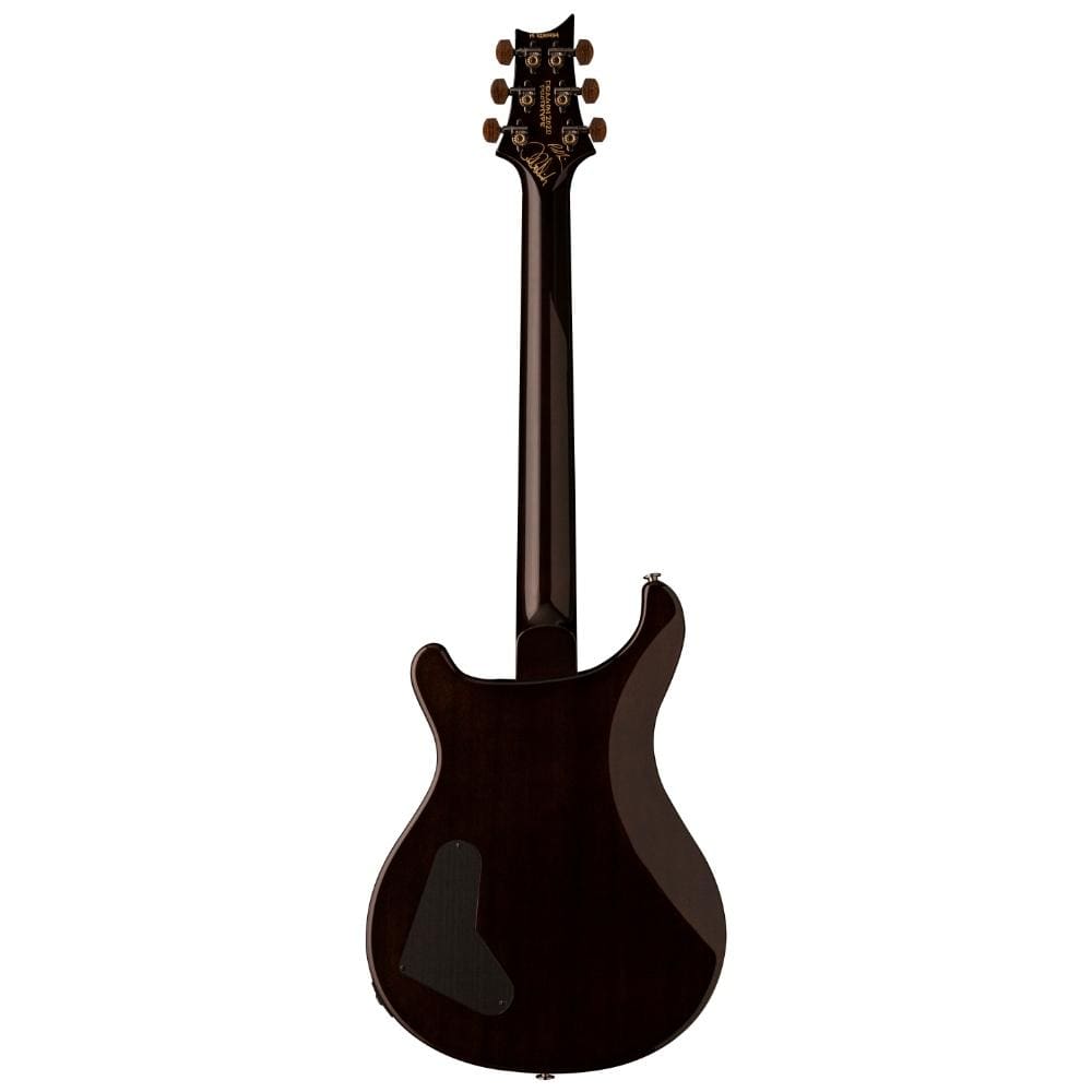 PRS Private Stock 35th Anniversary Dragon Frostbite Dragon's Breath w/Charcoal Back & Neck Electric Guitars / Solid Body