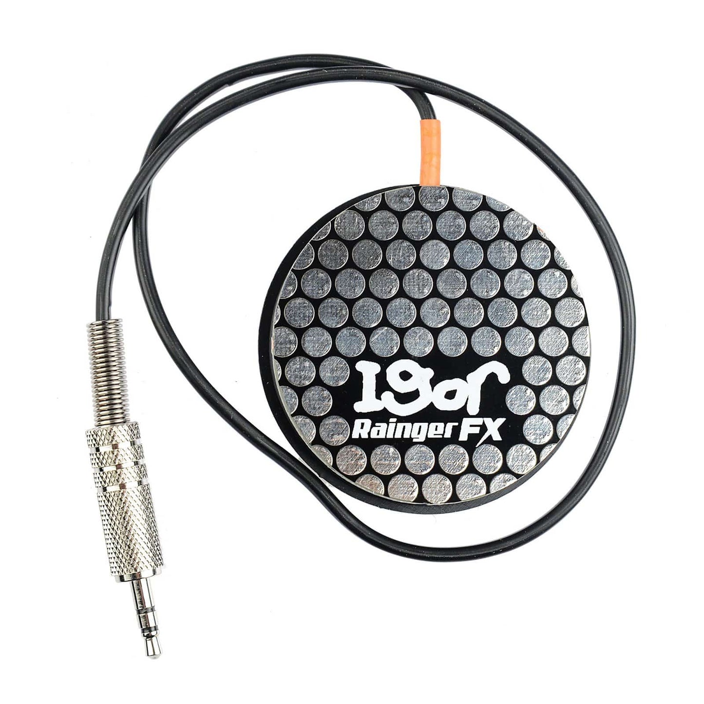 Rainger FX Echo-X Mini Digital Delay w/ Igor Effects and Pedals / Delay