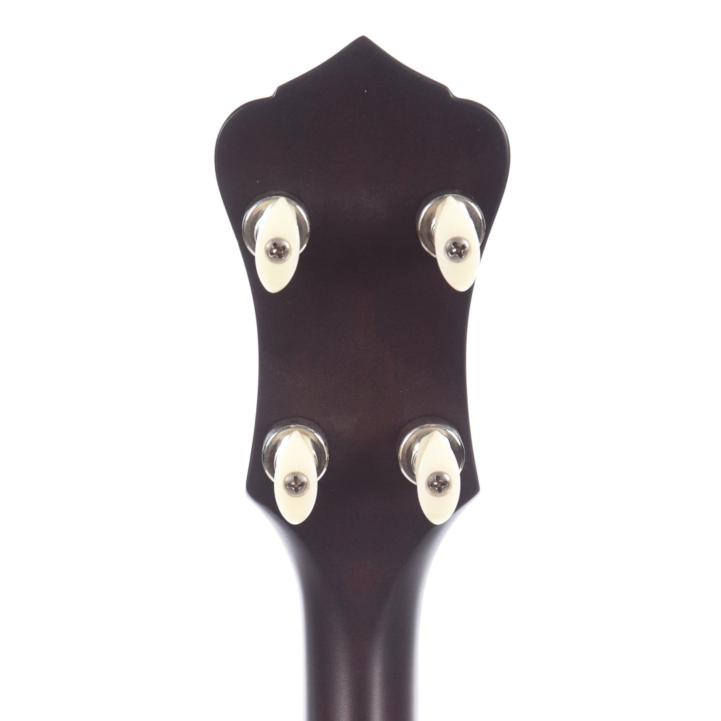 Recording King Madison Open Back Banjo Scooped Fretboard Folk Instruments / Banjos