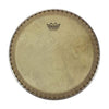 Remo 11.75" Symmetry Skyndeep Conga Drumhead Calfskin Graphic Drums and Percussion / Parts and Accessories / Heads