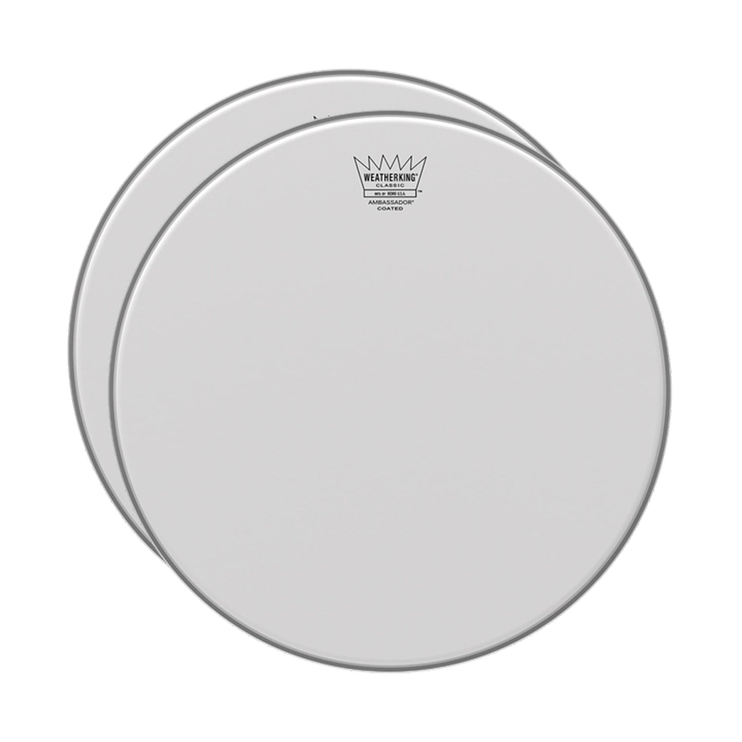 Remo 18" Batter Ambassador Classic Coated Drumhead (2 Pack Bundle) Drums and Percussion / Parts and Accessories / Heads
