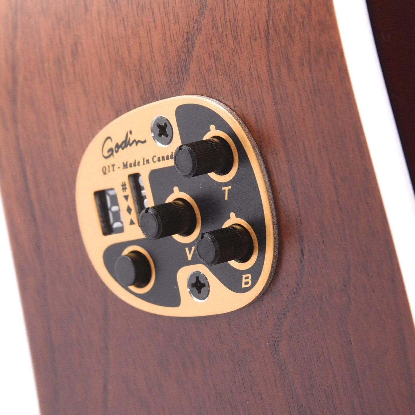 Seagull Entourage Solid Spruce/Wild Cherry Autumn Burst w/Godin QIT Electronics Acoustic Guitars / Dreadnought