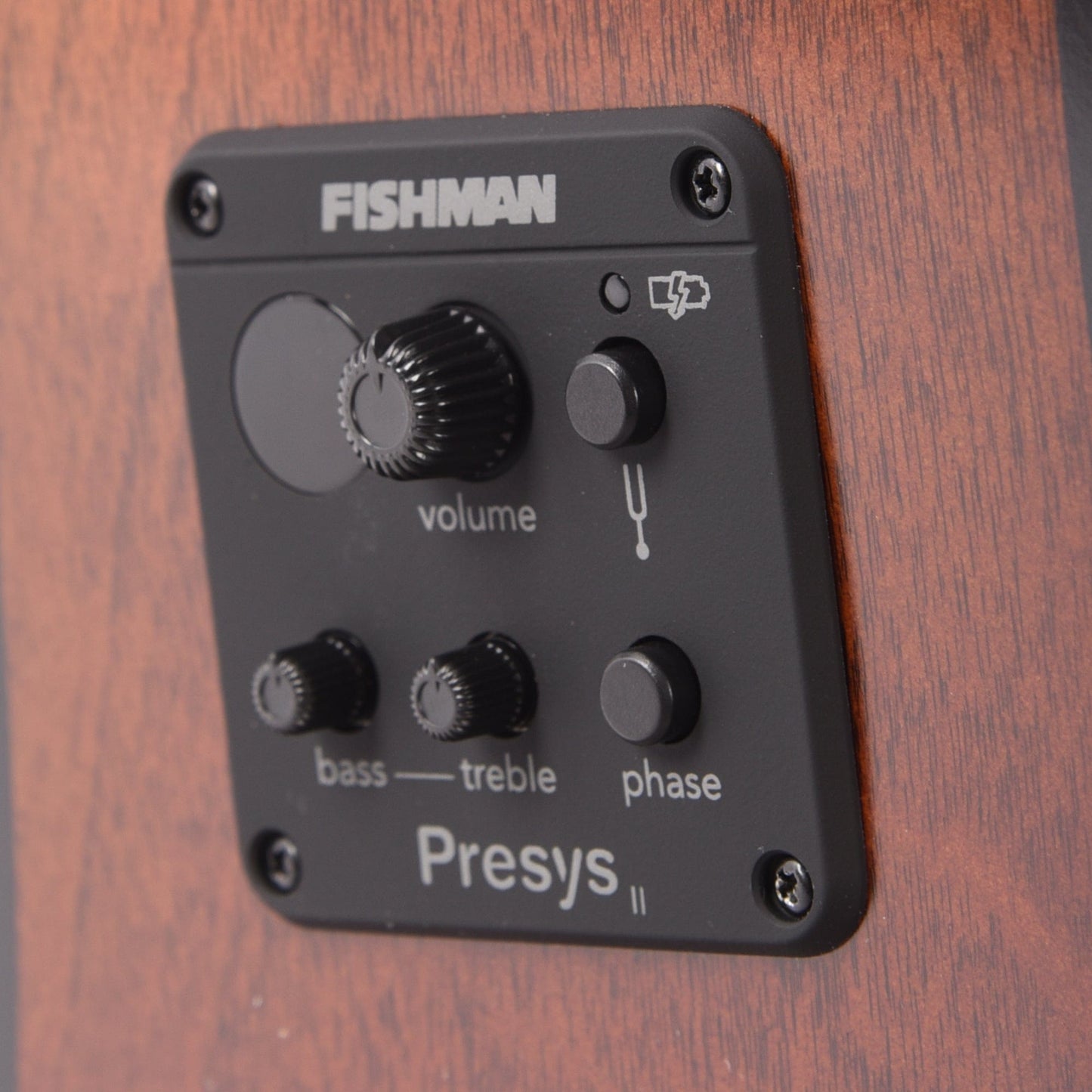 Seagull S6 Original Presys II Natural Acoustic Guitars / Dreadnought