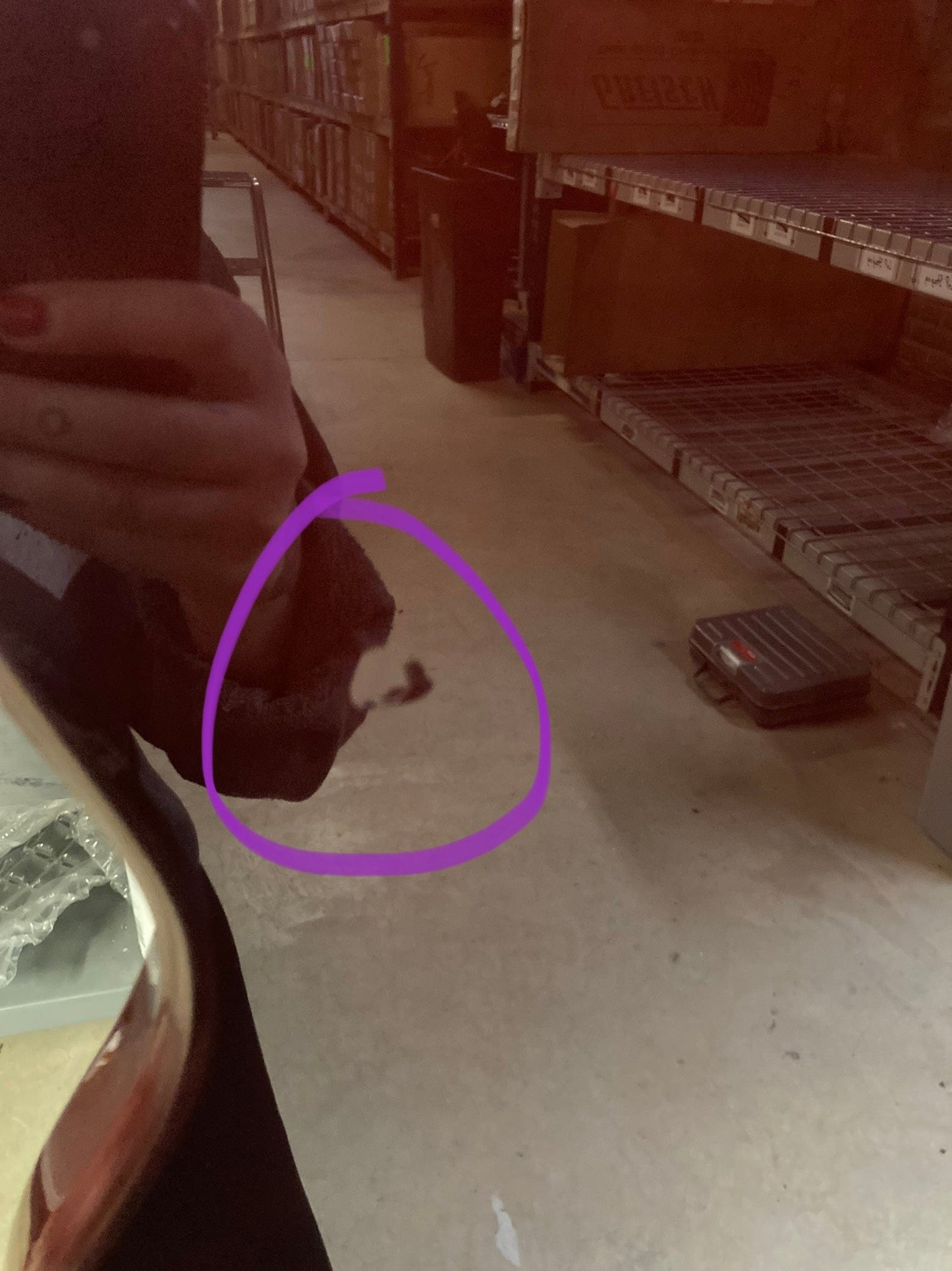 Squier Classic Vibe Bass VI Maple Neck Walnut w/Black Blocks/Binding & 3-Ply Black Bass Guitars / 5-String or More