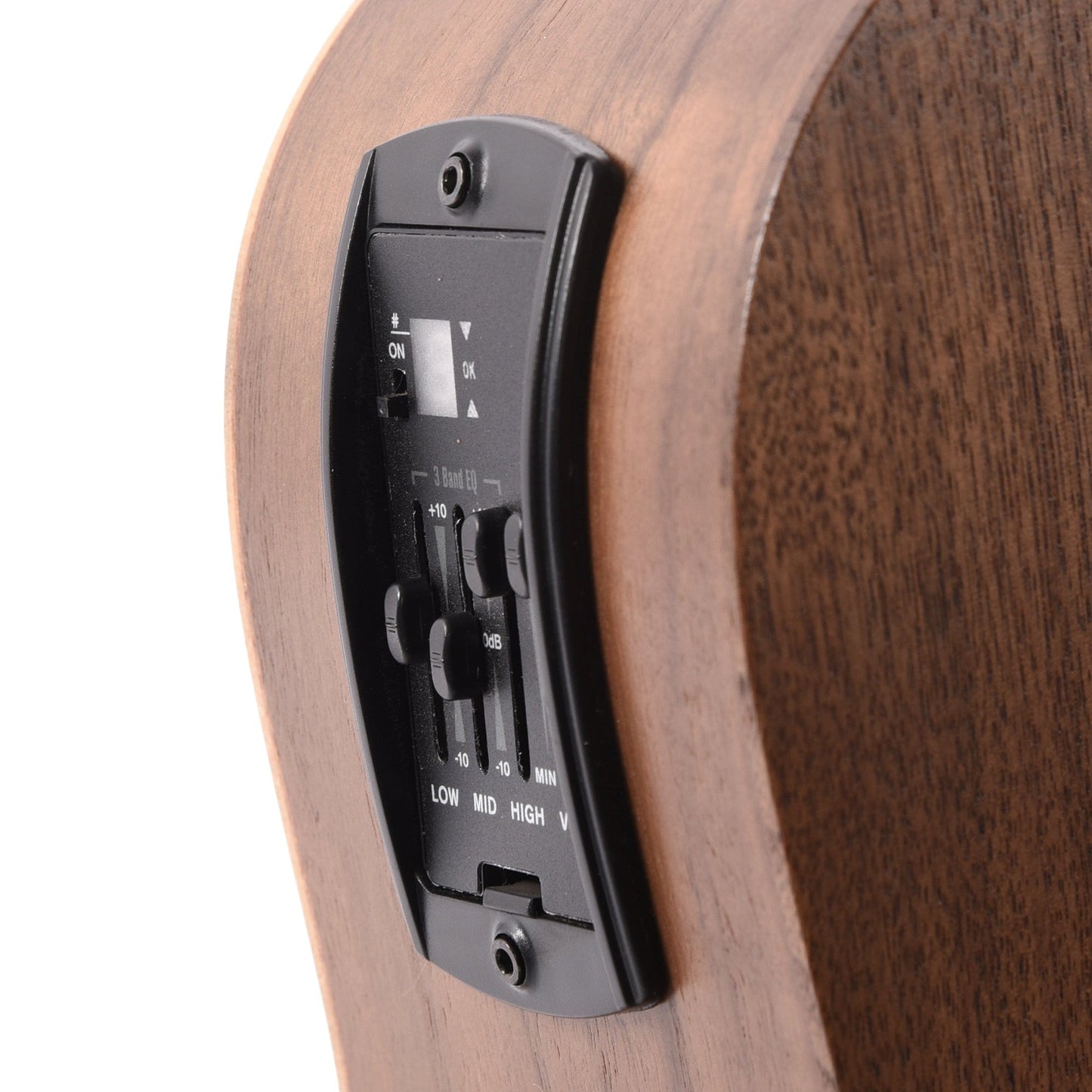 Taylor Academy 20e Walnut Top Acoustic Guitars / Dreadnought