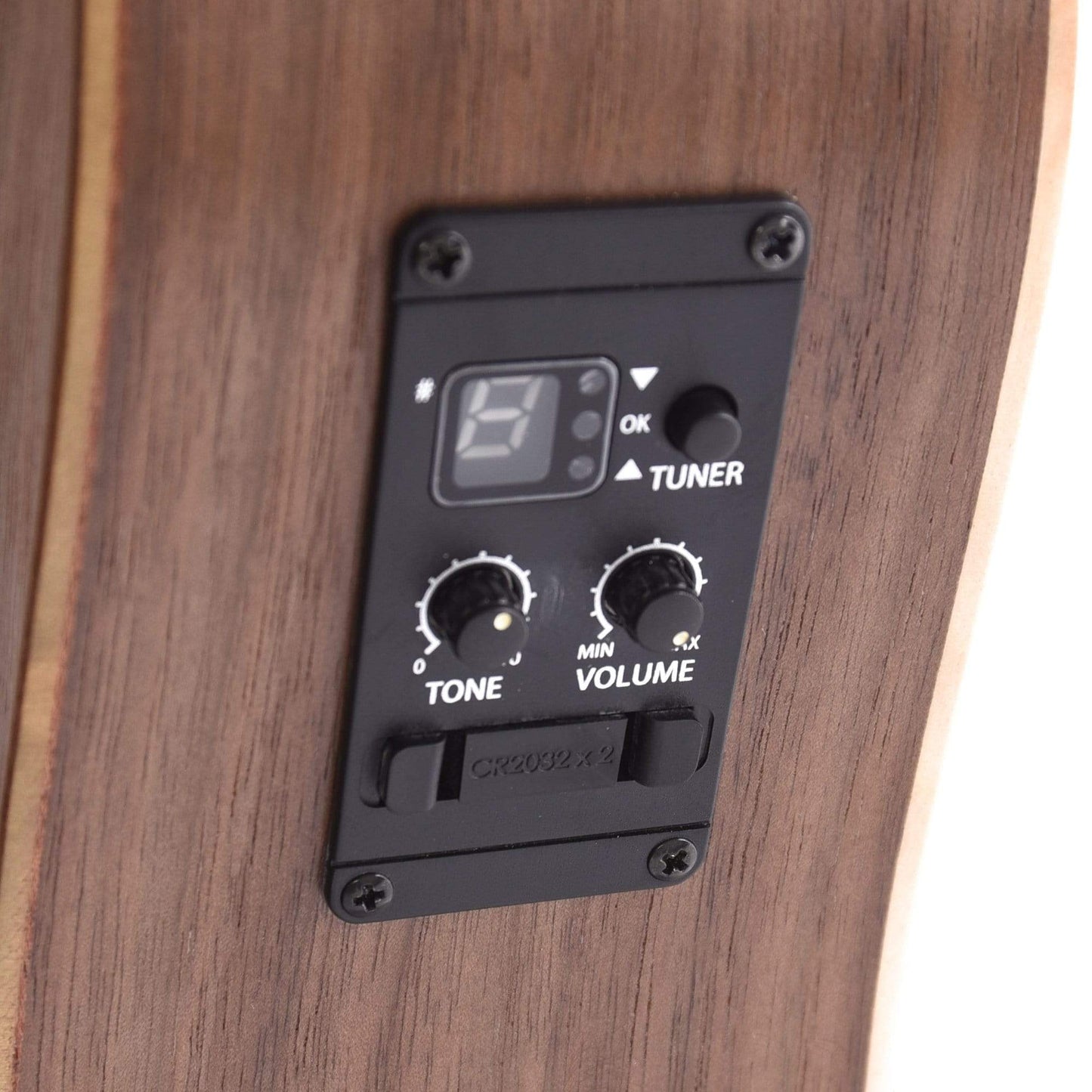 Taylor BT1-e Walnut w/ESB Acoustic Guitars / Mini/Travel