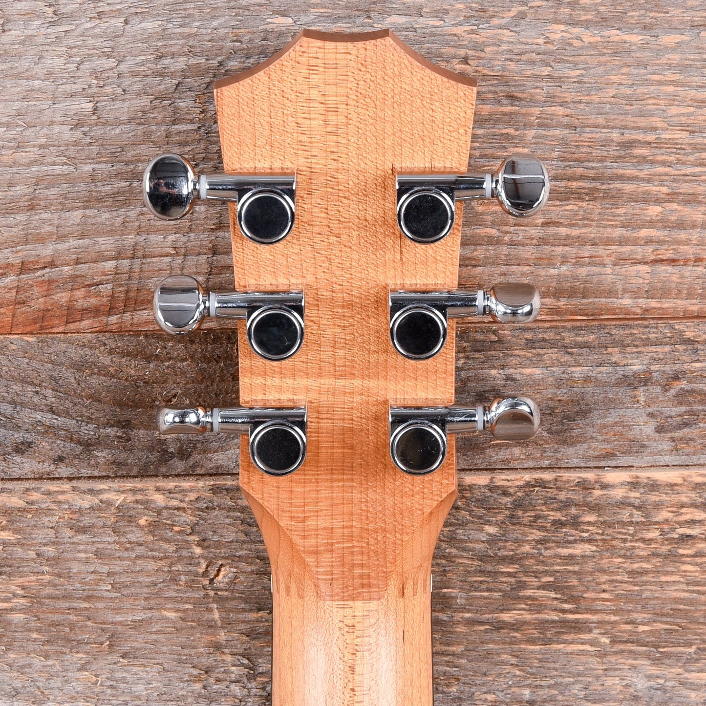 Taylor BT1 Walnut Acoustic Guitars / Mini/Travel