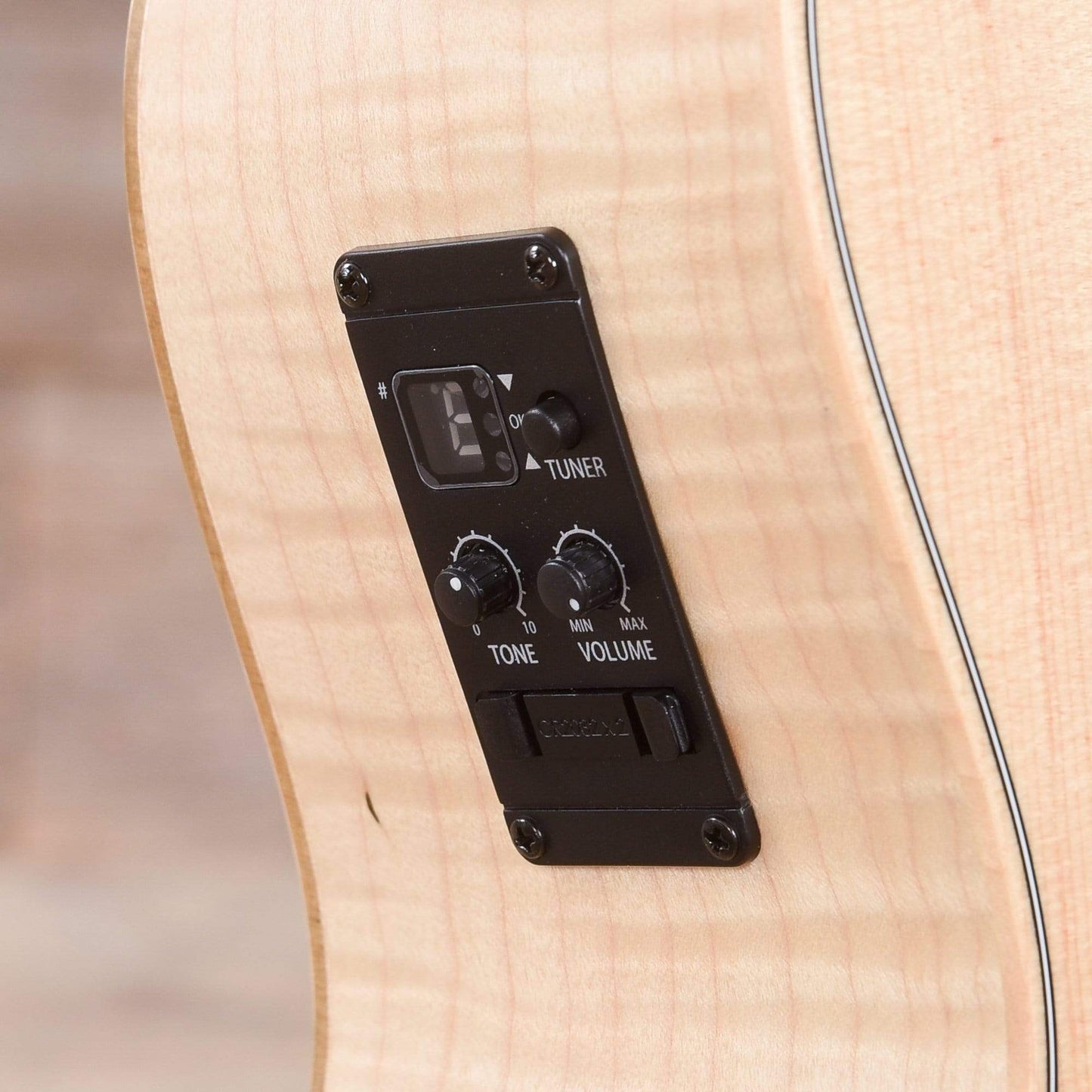 Taylor GS Mini-e Bass Sitka/Maple ES-B Bass Guitars / Acoustic Bass Guitars