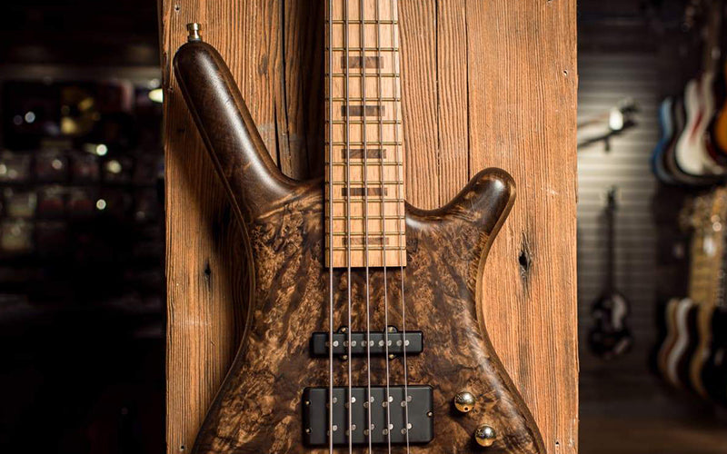 Inside: Warwick Bass Workshop Q&A with Peter-Hans Wilfer