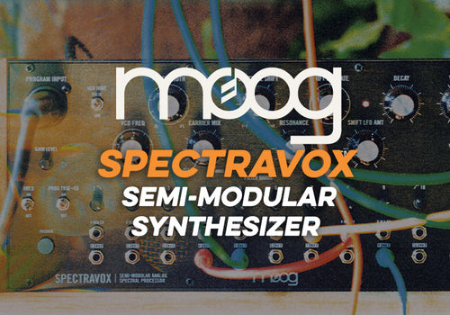 Moog Synthesizers | Spectravox Semi-Modular Synth
