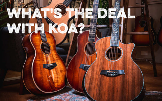 What's the Deal with Koa?
