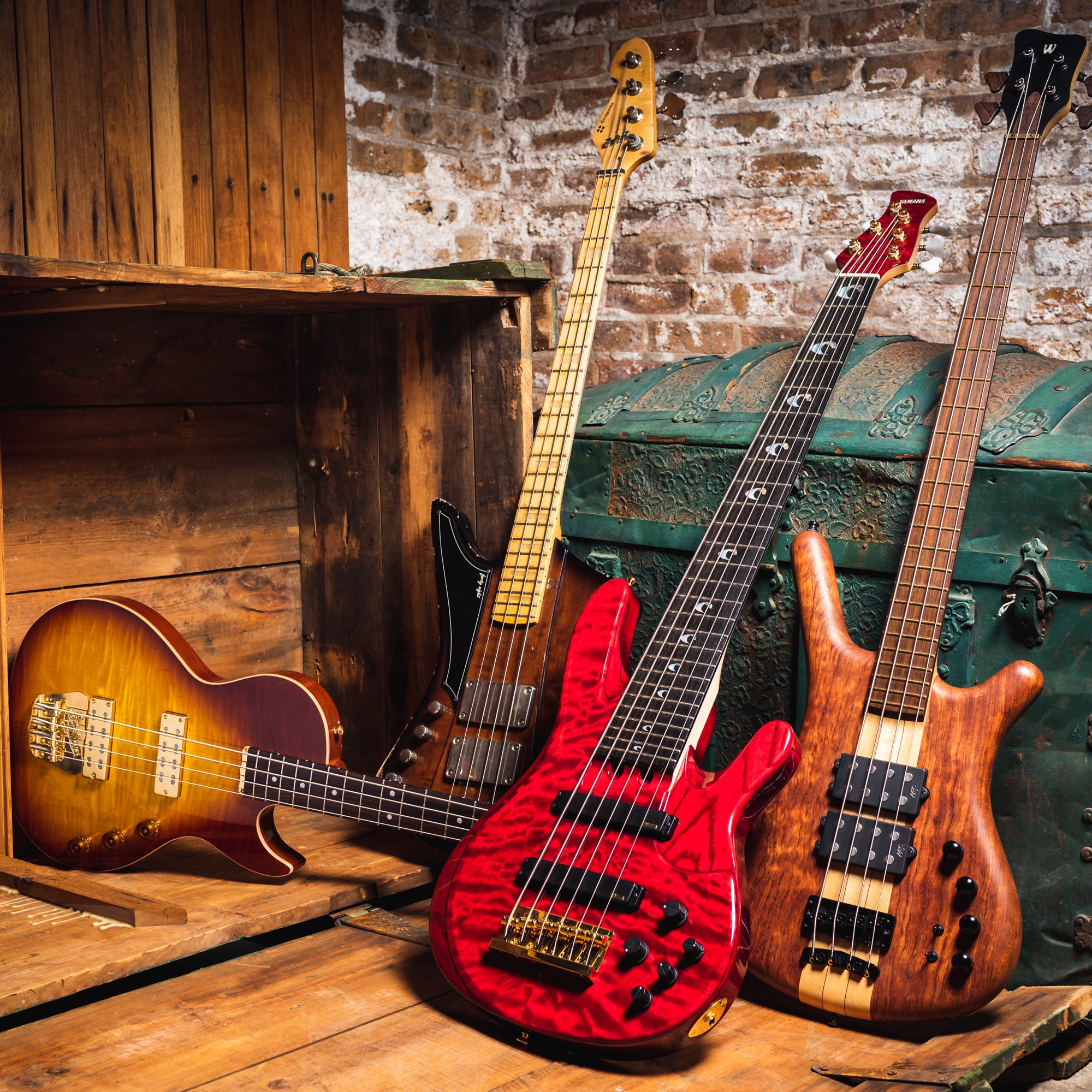 New Bass Guitars – Chicago Music Exchange