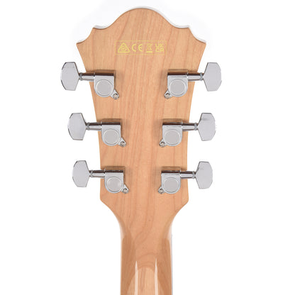 Ibanez AE170NTR Acoustic-Electric Guitar AE Natural High Gloss