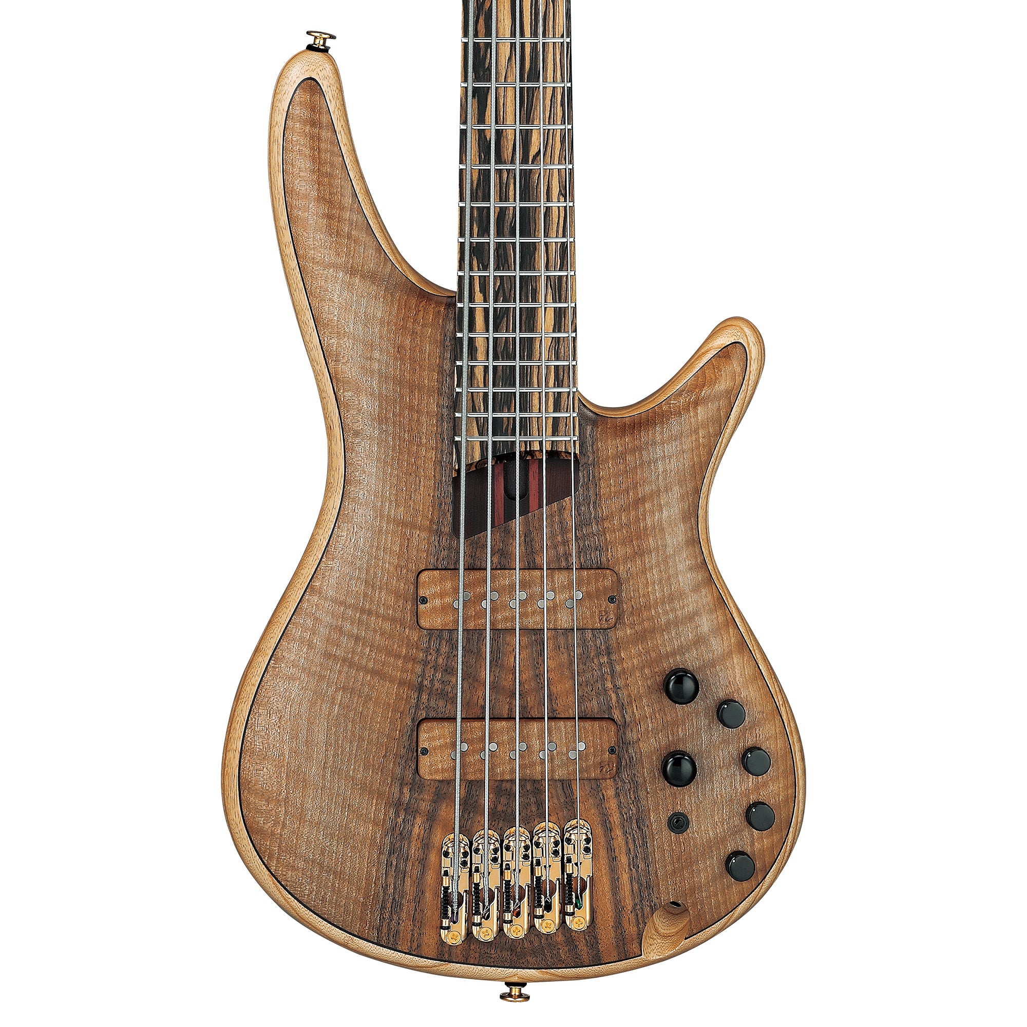 Ibanez IV1SR SR Visions 5-String Electric Bass – Chicago Music