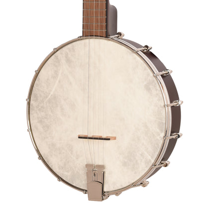 Recording King Dirty 30's Open Back Banjo