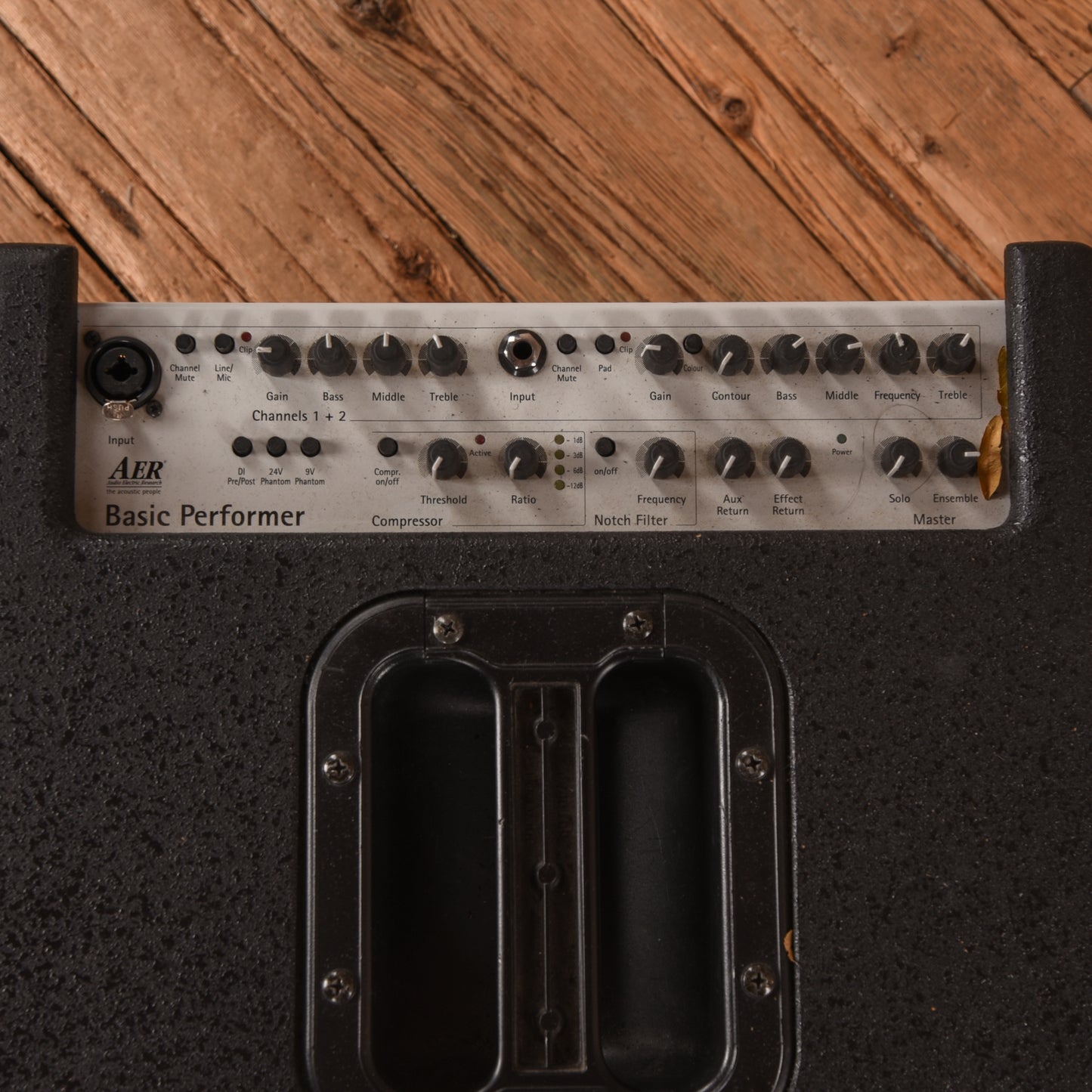 AER Basic Performer Bass Combo Amps / Bass Amps / Bass Cabinets