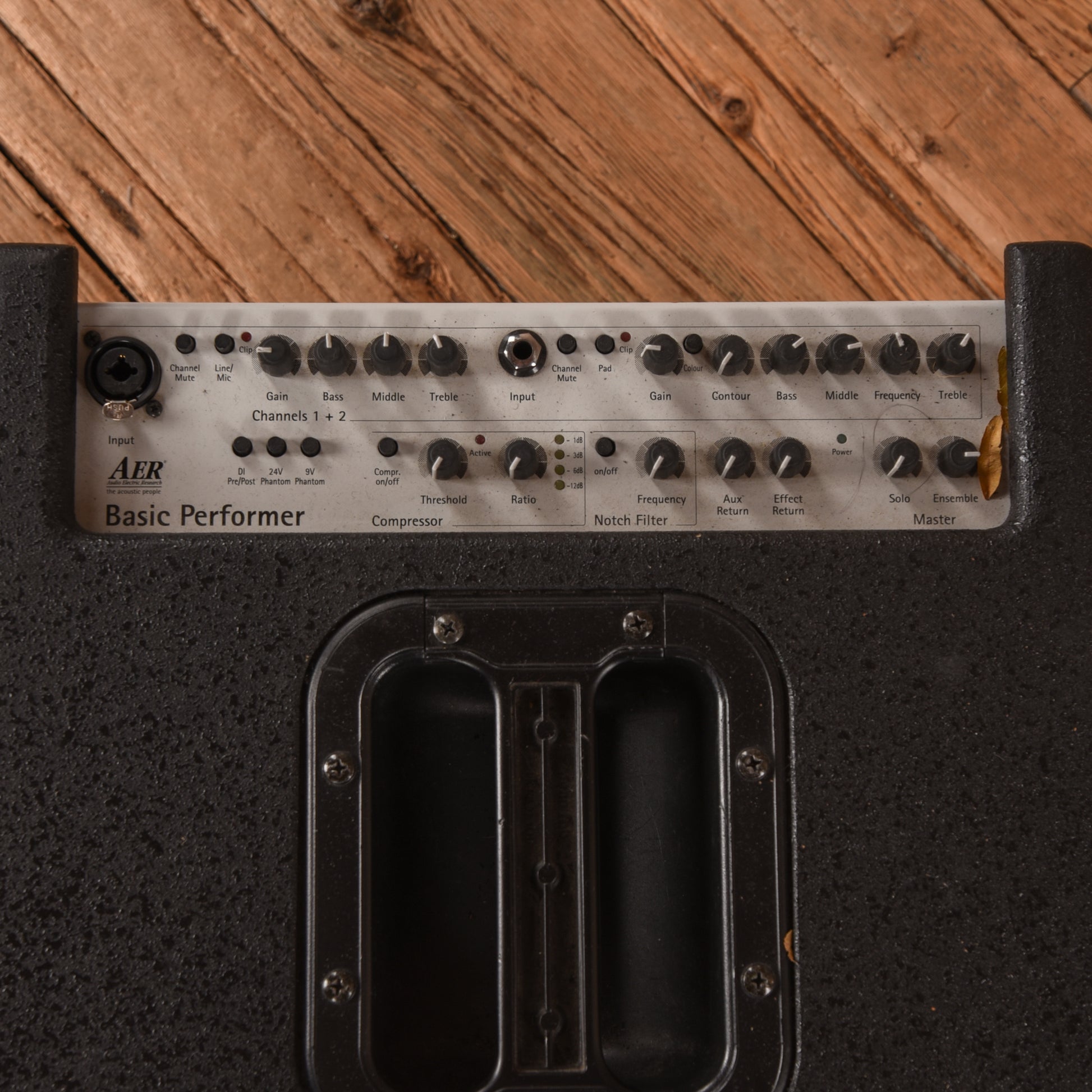 AER Basic Performer Bass Combo Amps / Bass Amps / Bass Cabinets