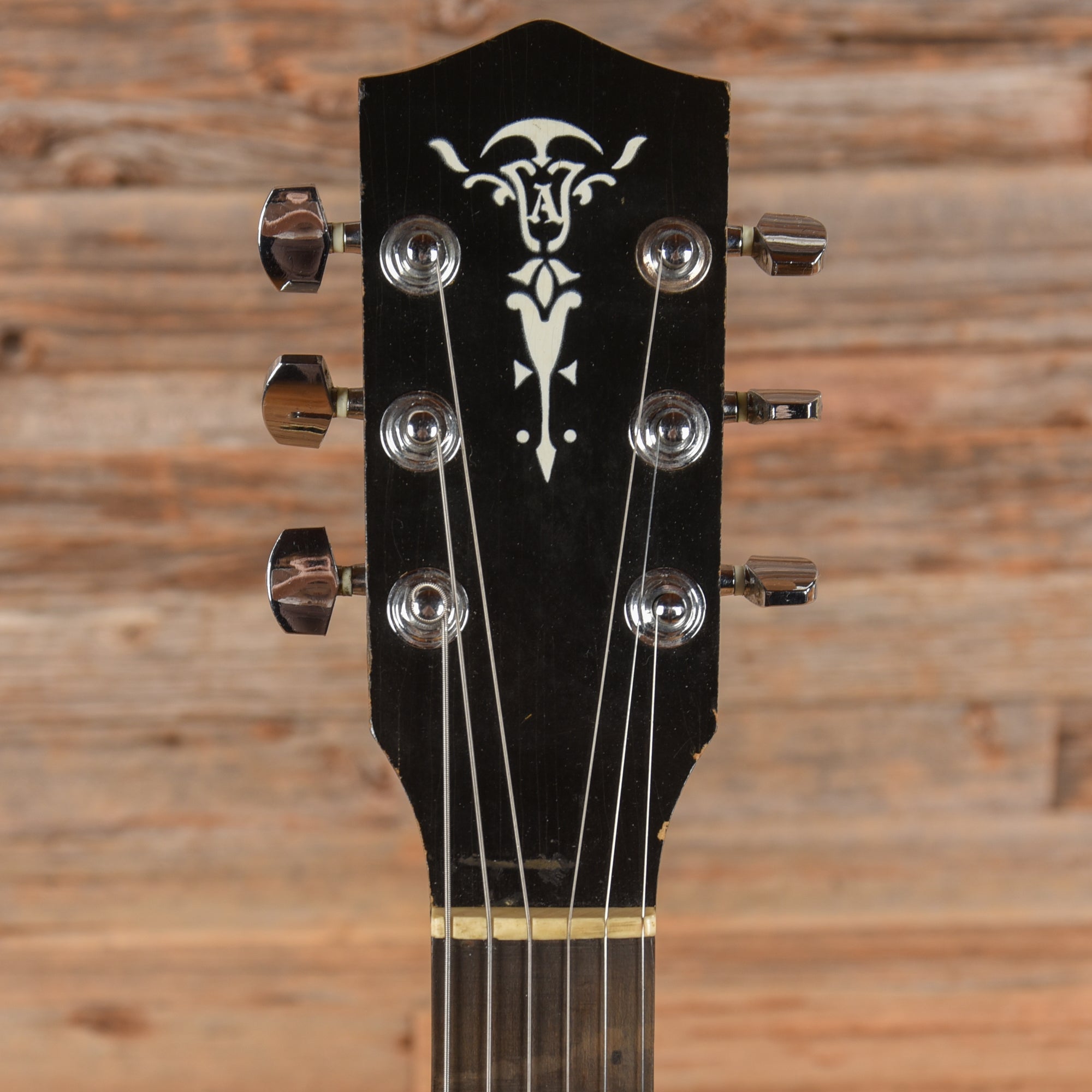 Alden Resonator w/ added Pickup Black 1960s Electric Guitars / Hollow Body