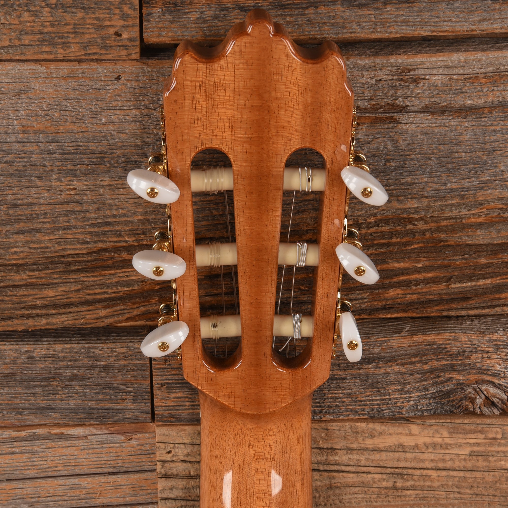 Alhambra Conservatory Series 4 F Flamenco Orange Stain Acoustic Guitars / Classical