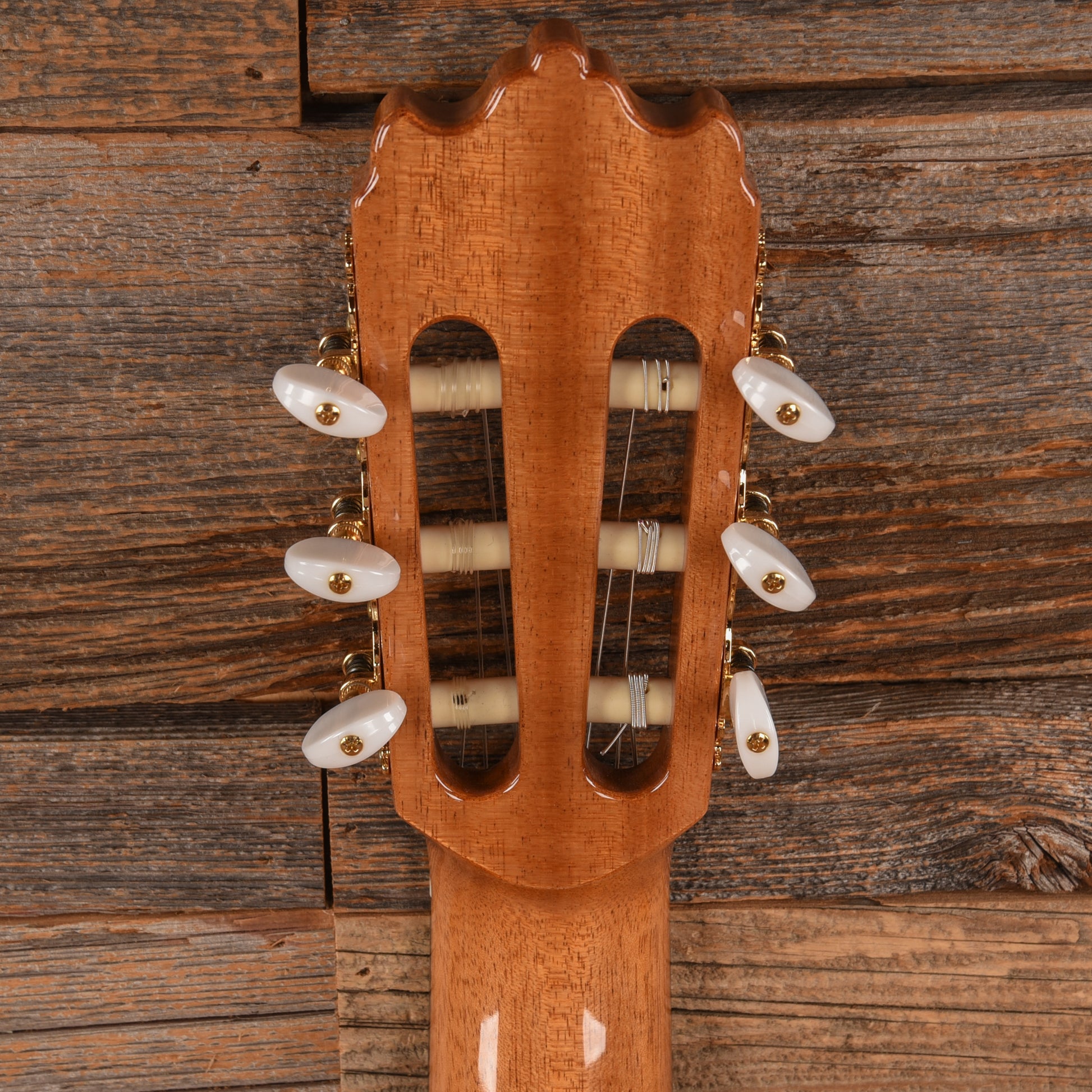 Alhambra Conservatory Series 4 F Flamenco Orange Stain Acoustic Guitars / Classical