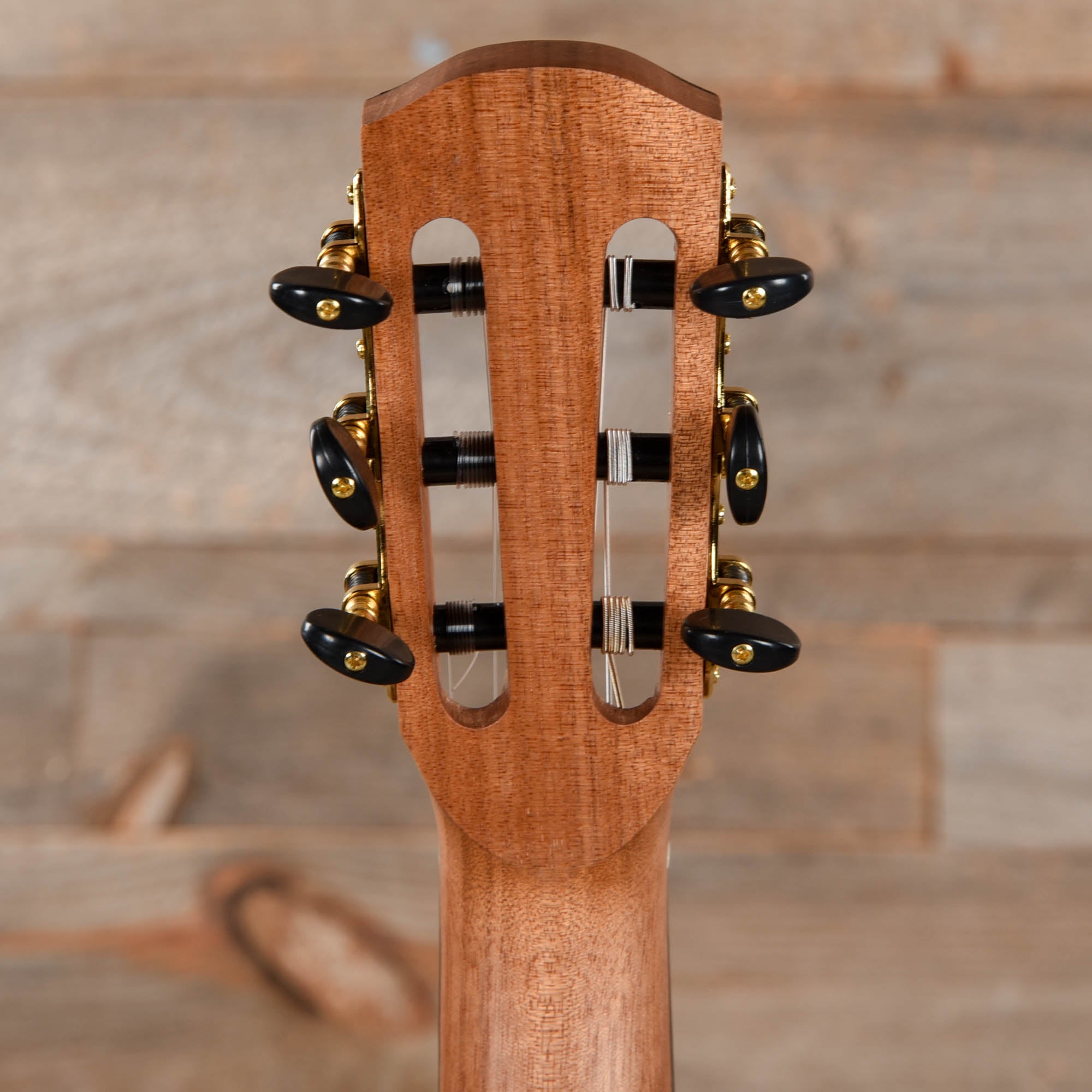Alvarez Regent RS26N Short Scale Nylon Guitar Acoustic Guitars / Classical