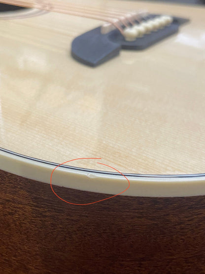 Alvarez Regent Travel Sized Dreadnought Acoustic Guitar Acoustic Guitars / Dreadnought