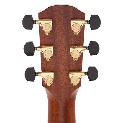 Alvarez GYM70CESHB Yairi Masterworks Acoustic Guitar Shadowburst Gloss Acoustic Guitars / OM and Auditorium