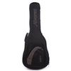Alvarez MPA66SHB Masterworks Acoustic Guitar Shadowburst Gloss Acoustic Guitars / Parlor
