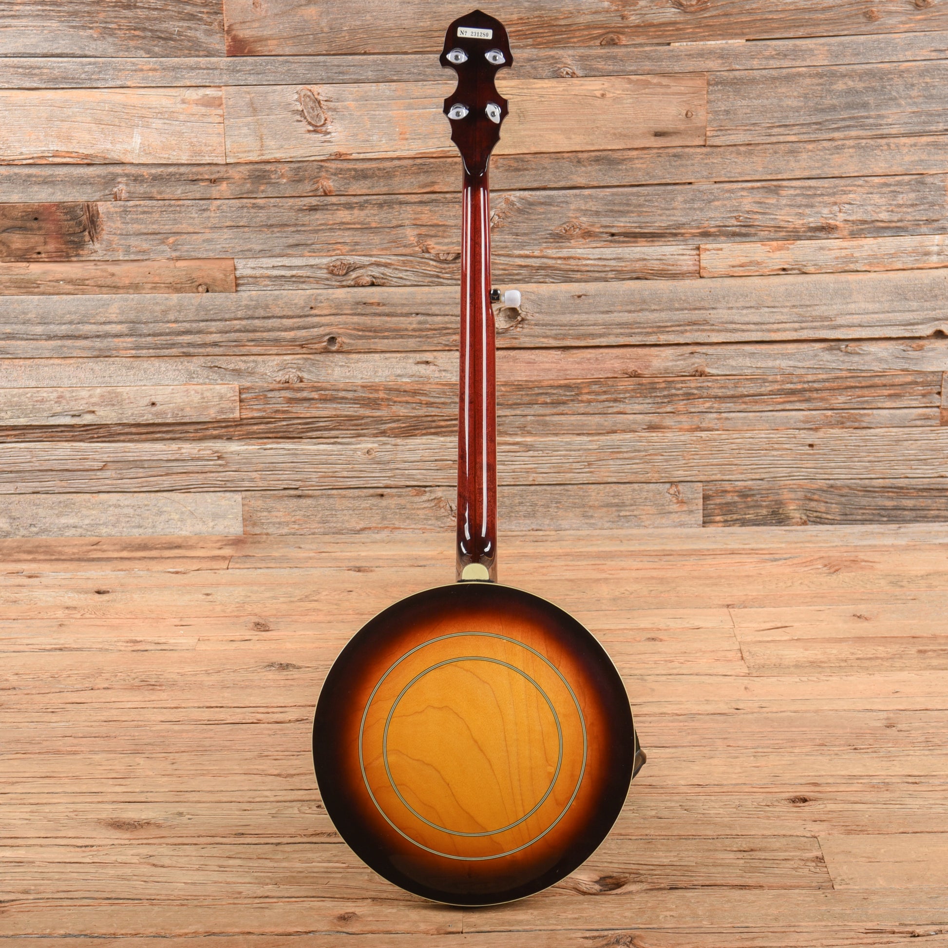 Alvarez Silver Belle  1980s Folk Instruments / Banjos