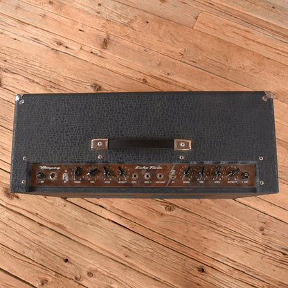 Ampeg Echo Twin  1962 Amplifiers