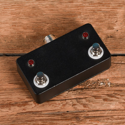 Amplified Nation Steel String Singer 50w w/ 2x12 Cabinet Electric Blue 2023 Amplifiers