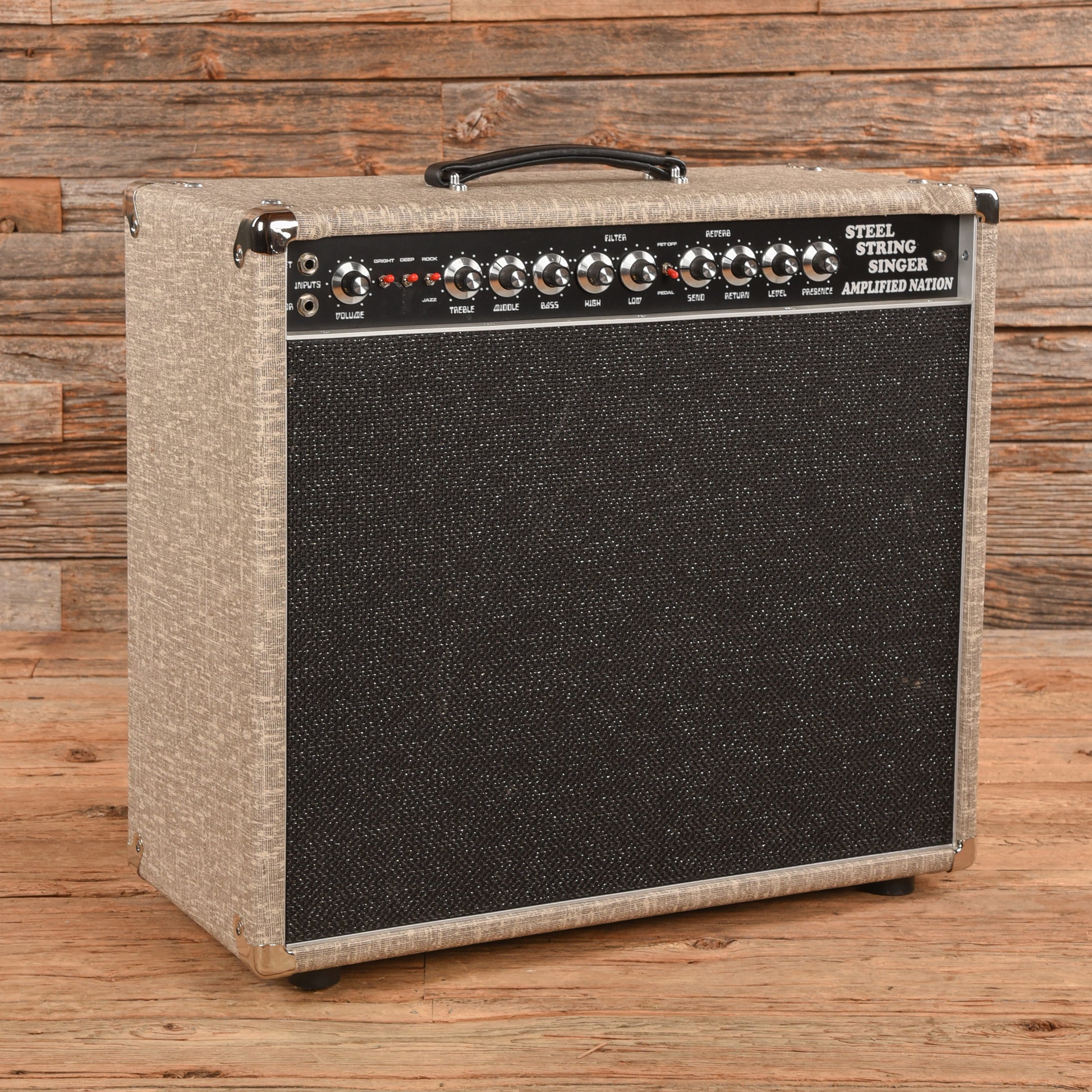 Amplified Nation Steel String Singer 50-Watt 1x12" Guitar Combo Amp Amps / Guitar Amps / Guitar Cabinets