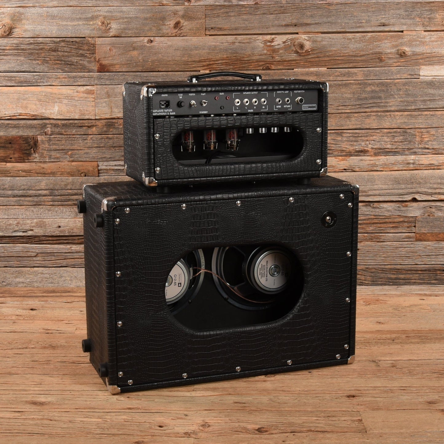 Amplified Nation Ampliphonix & Gain Head w/Matching 2x12 Cabinet Black Croc Amps / Guitar Cabinets