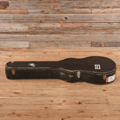 Aria Pro II TA-61 Sunburst Electric Guitars / Hollow Body