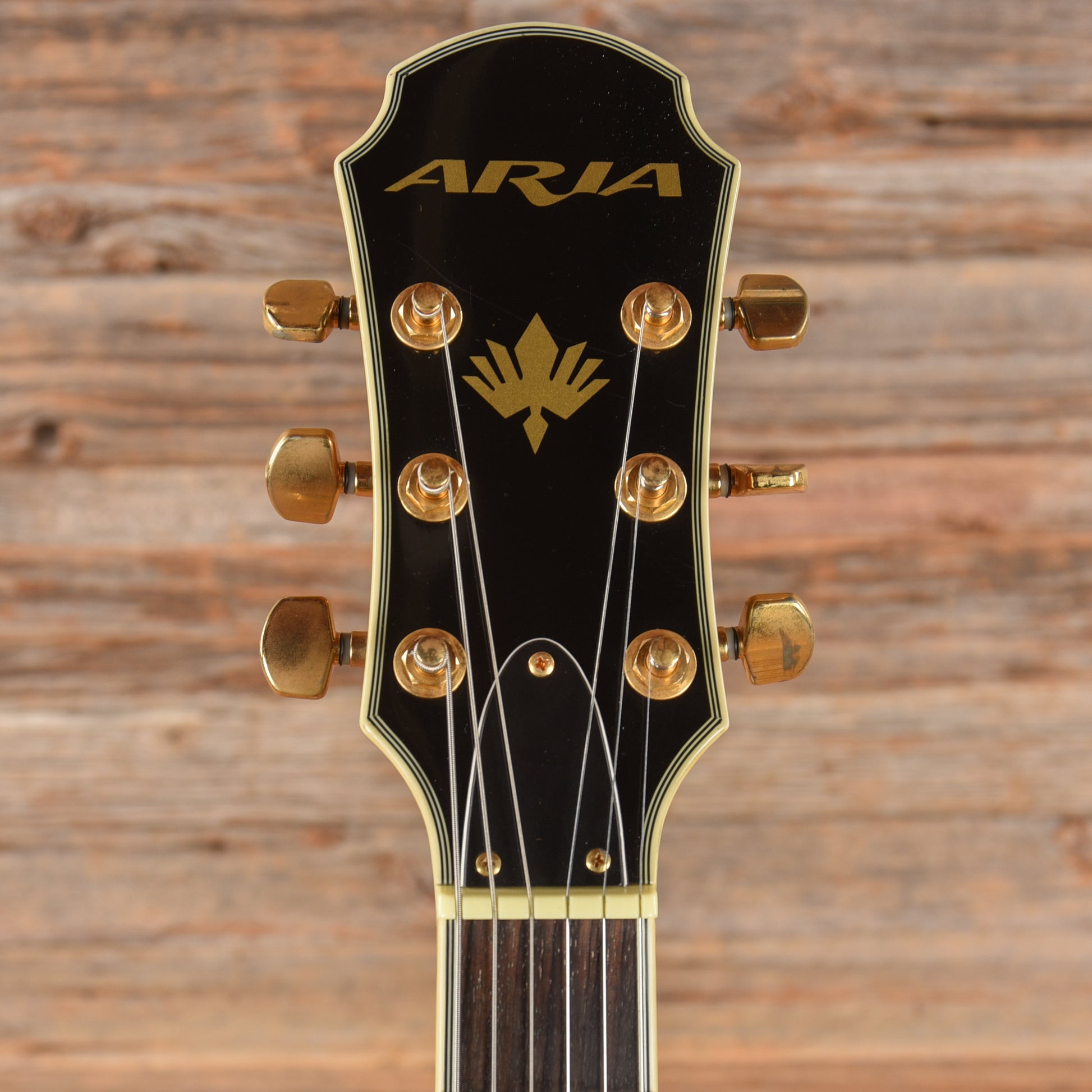 Aria Pro II TA-61 Sunburst Electric Guitars / Hollow Body