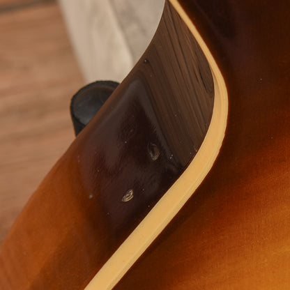 Aria Pro II LP Sunburst Electric Guitars / Solid Body