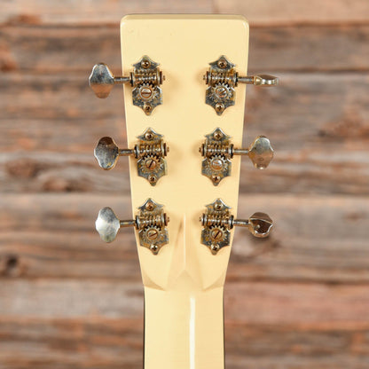 Atkin 00037 Flamingo Hand Painted by Ian Ward Acoustic Guitars / OM and Auditorium