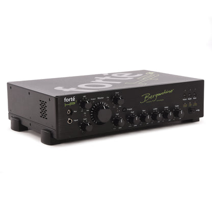 Bergantino Forte HP2X Bass Amplifier Head Amps / Bass Amps / Bass Heads