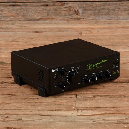 Bergantino Forte 800-Watt Bass Amp Head Amps / Bass Cabinets