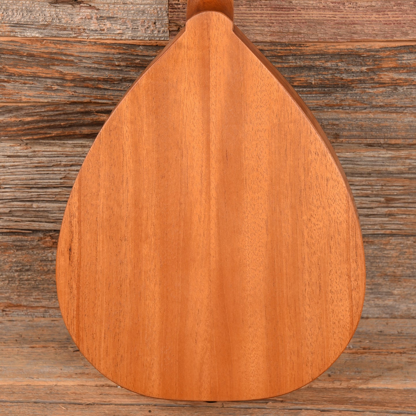 Big Muddy Mandolin M-11JW Natural Folk Instruments / Mandolins