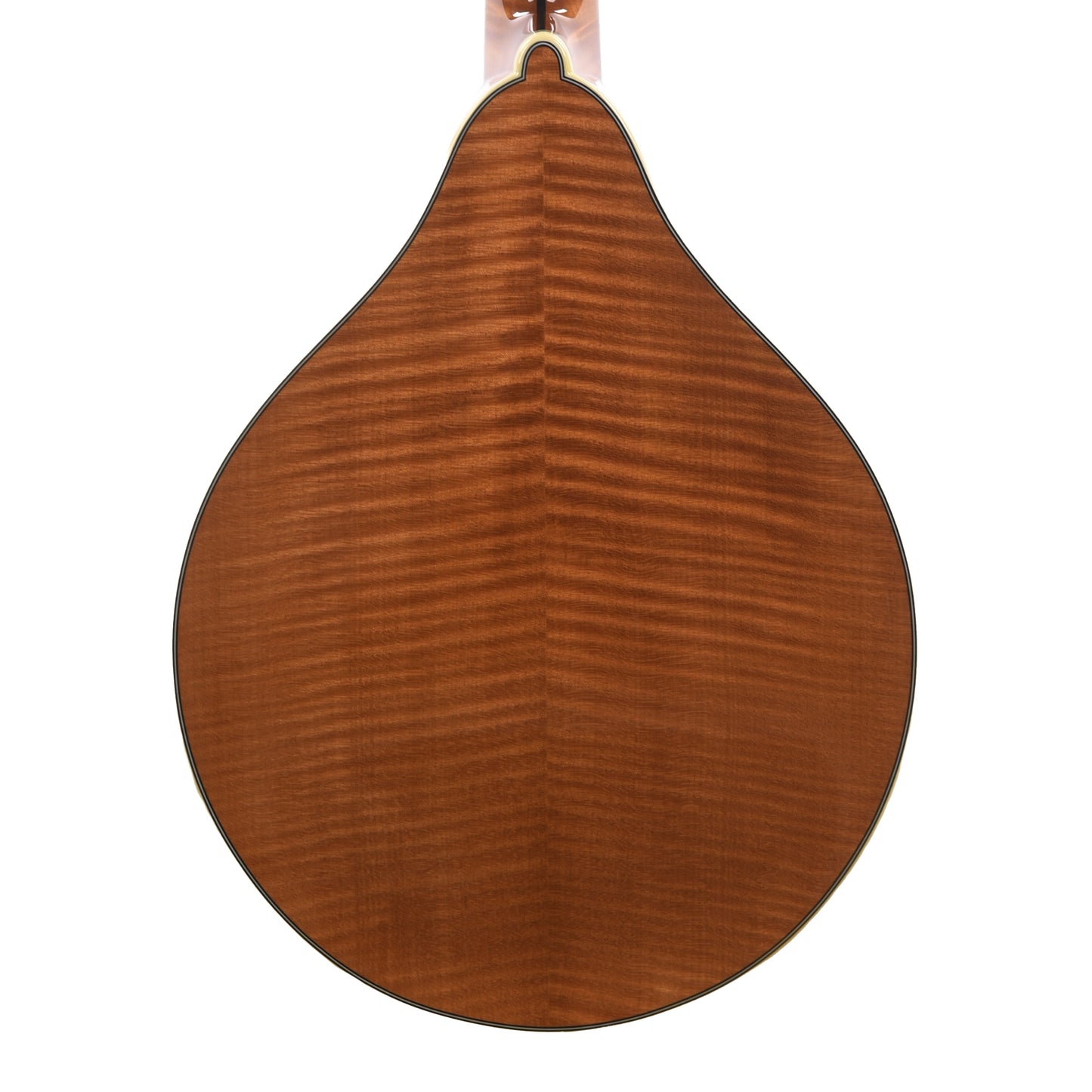 Bourgeois M5 A-Style Mandolin Aged Tone Torrefied Adirondack/Flame Maple Natural Folk Instruments / Mandolins