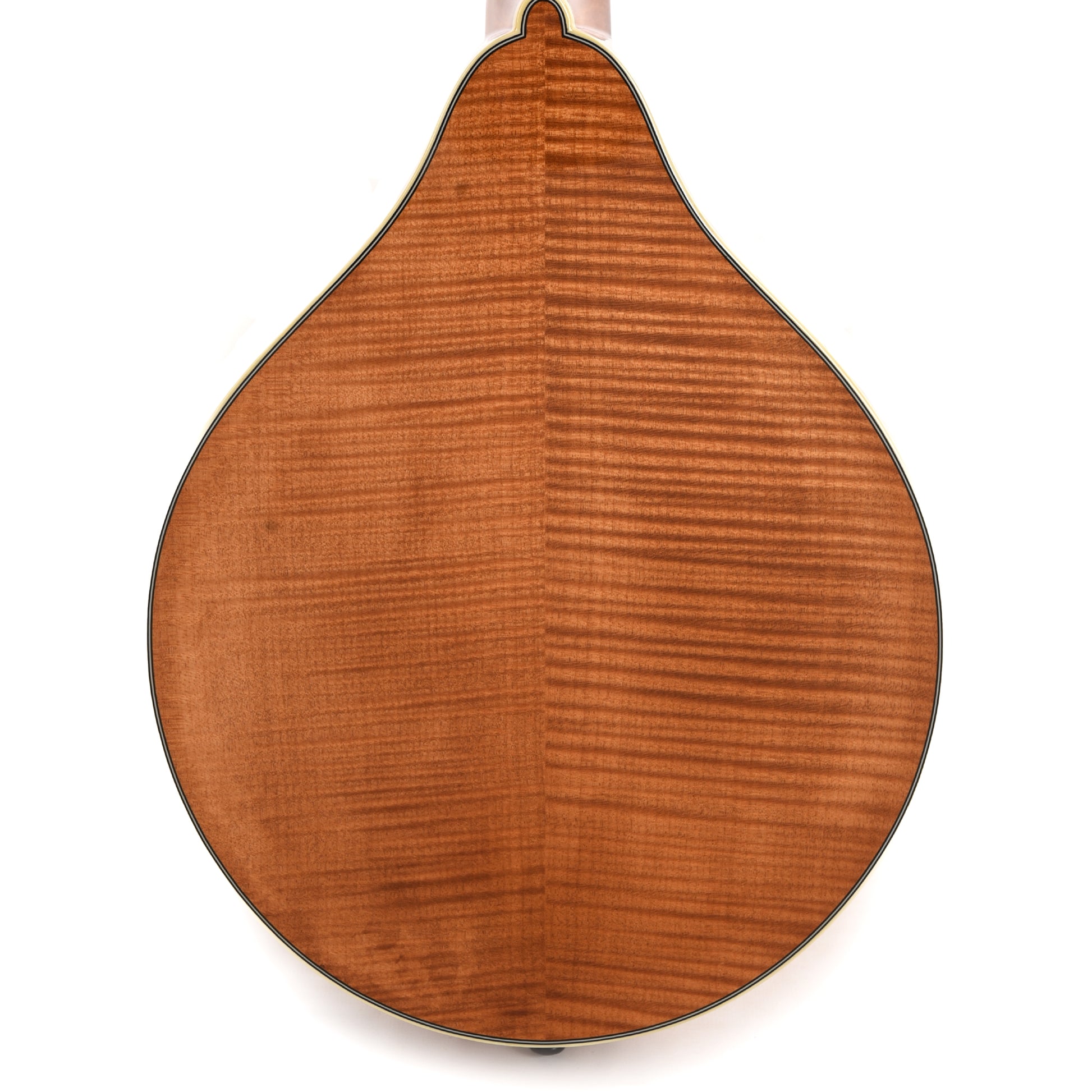 Bourgeois M5 A-Style Mandolin Aged Tone Torrefied Adirondack/Flame Maple Natural Folk Instruments / Mandolins