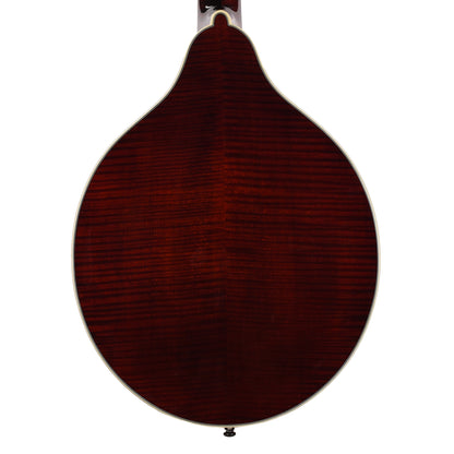 Bourgeois M50-BT Octave Mandolin Aged Tone Adirondack Spruce/European Curly Maple Black Mandolins